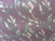 CAMUFLADO 70 RESINADO