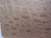 ALLIGATOR BLANC